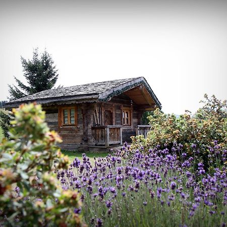 Hotel Le Manoir Des Montagnes Ле-Русс Экстерьер фото